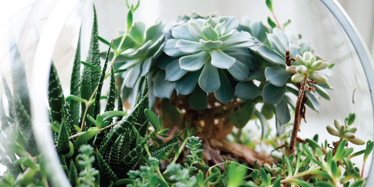 CIO-Mythbusters-Blog-Graphic-2