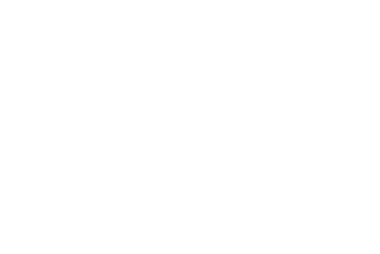 Clinch_Logo_Trademark_white