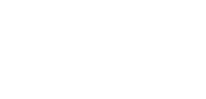 Octavius logo