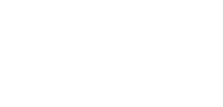Big Four Audit Firm logo